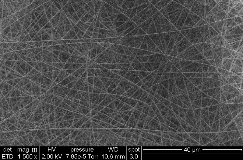 Filaments de polym��re obtenus par les ��tudiants, par ��lectrofilage au laboratoire LMI