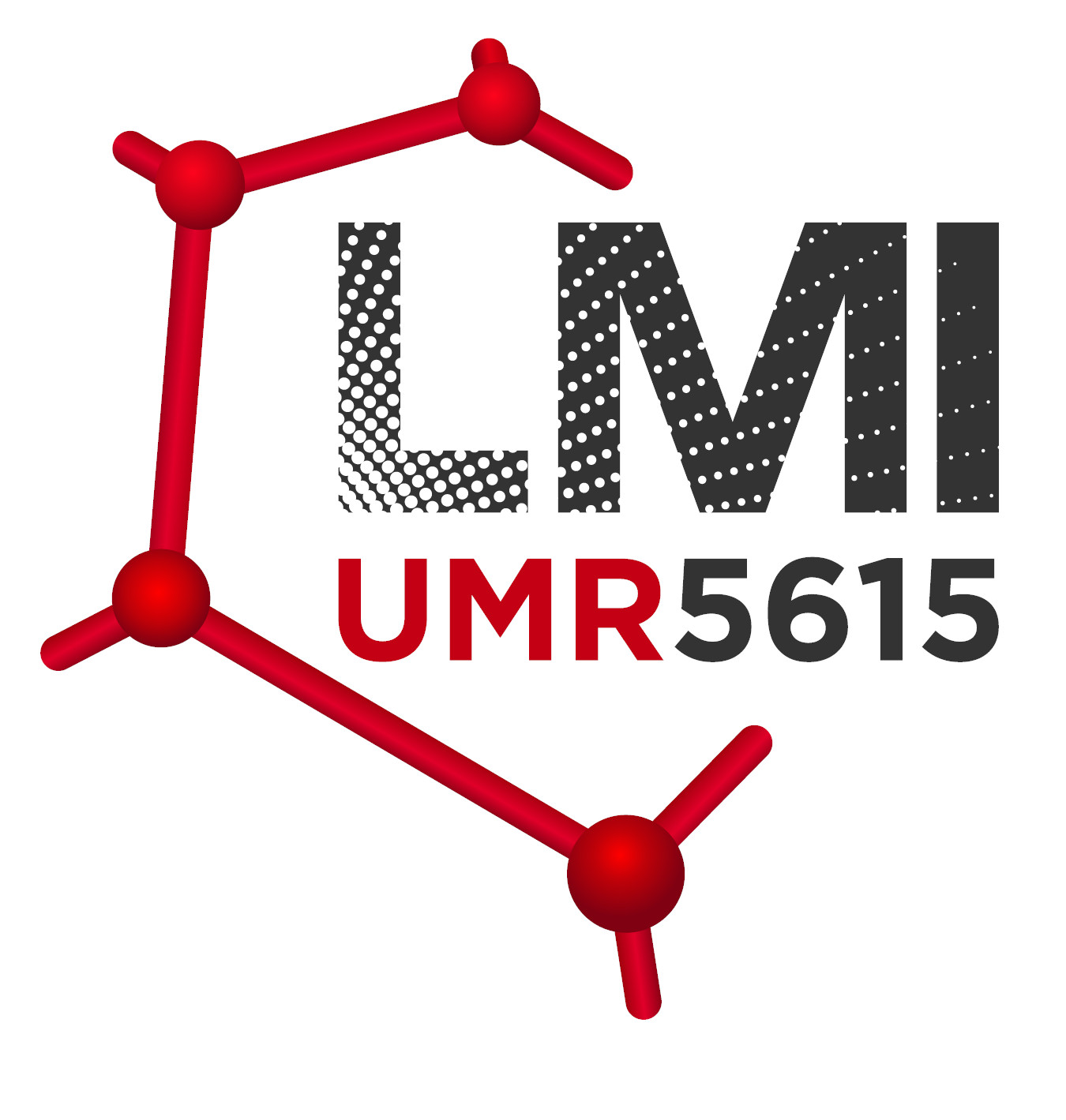 LMI